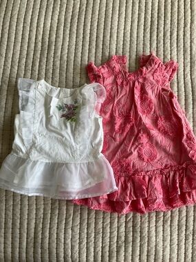 Janie and Jack Pink Embroidered Ruffle Dress with 3T White Floral Mesh Top